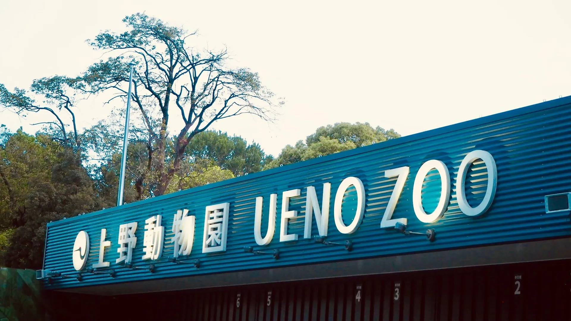 טוקיו Apa Hotel Keisei Ueno Ekimae 3*,